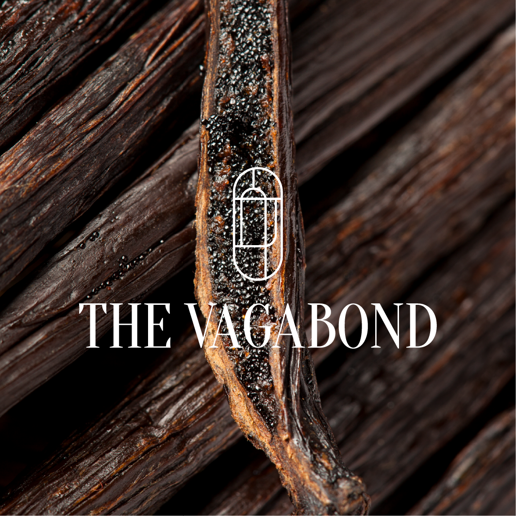 Thương hiệu — quả vanilla cận cảnh với chữ serif “THE VAGABOND” và logo vòm